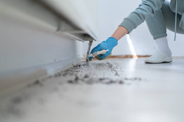 Best Pest Control for Restaurants  in Lewisburg, PA